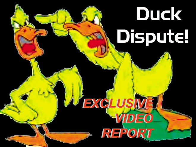 click here for exclusive video report